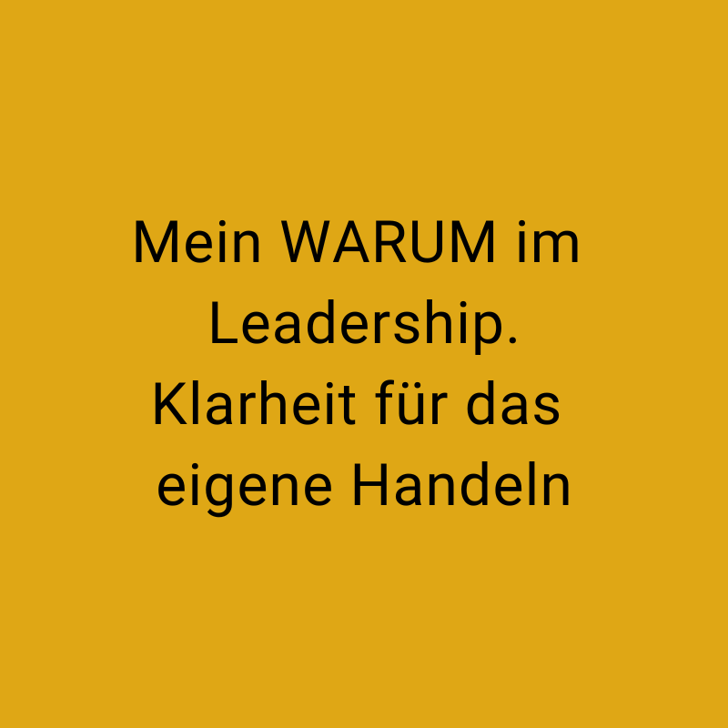 WARUM nach Sinek