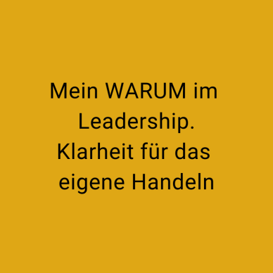 WARUM nach Sinek